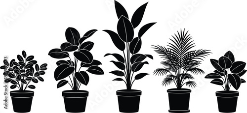 Set of potted indoor plants silhouettes, black vector illustration of house foliage for interior decoration, botany, and office design elements