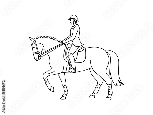 Line drawing of a woman riding a horse in equestrian attire style