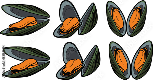 Stylized Mussel Illustrations with Open Shells for Culinary, Seafood, Marine Life, Ingredient, Educational, Artistic, Vector, Icon, UI Design