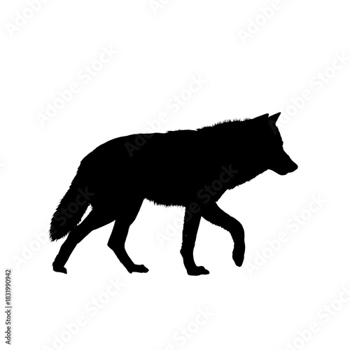 wolf silhouette - vector illustration