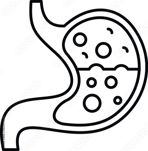 Stomach showing digestion process with internal acid and gas