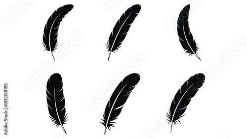 Black feather vector set isolated on white background design