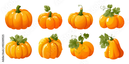 Collection of  vibrant orange pumpkins with green stems and leaves on a white background