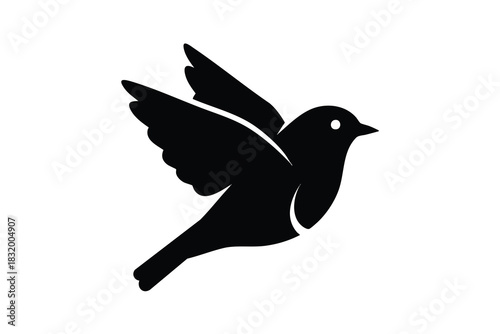 Silhouette of a Bird in Flight