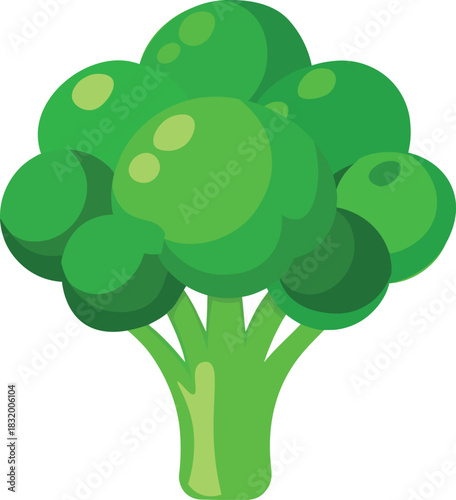 Healthy fresh green broccoli vegetable vector art