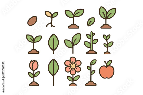 Various stages of plant growth represented in a colorful illustration featuring seeds, sprouts, leaves, and flowers