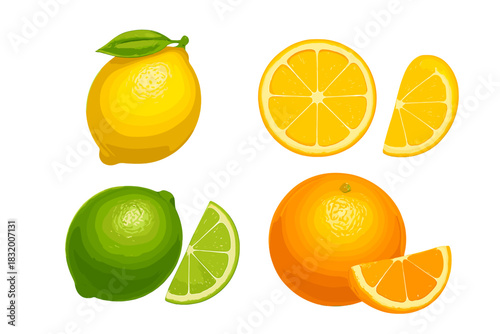 Bright citrus fruits including lemons, limes, and oranges displayed on a white background for a vibrant and fresh look
