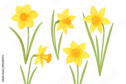 Bright yellow daffodils bloom in springtime, showcasing nature's beauty in a vibrant garden scene