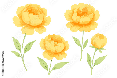 Bright yellow peonies with green leaves arranged in a simple yet elegant layout for spring or summer decor