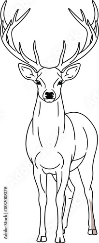Majestic stag standing tall with impressive antlers in a simple vector illustration