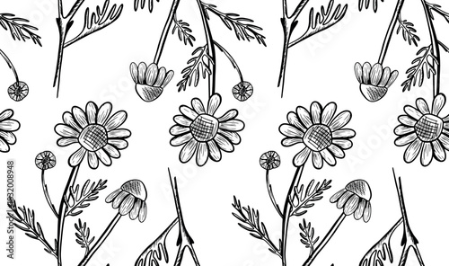 Seamless vector pattern with chamomile flowers and leaves on a white background. Monochrome botanical illustration with wildflowers. Hand-drawn line art with flower silhouettes.