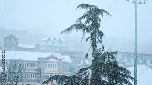 4K Slow motion shot of snowfall in front of Pine tree during a winter storm as seen from Sangla village in Kinnaur district, Himachal Pradesh, India. Scenic view of snow falling in village.