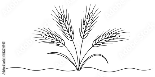 Stylized line art illustration of a bundle of ripe wheat or barley ears, representing agriculture, successful harvest, and essential natural food sources. Vector, illustration