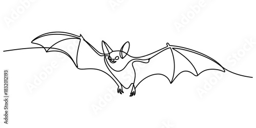 Continuous line drawing of a flying bat with spread wings, elegant minimalist single stroke art, nocturnal animal vector illustration isolated on white. Vector, illustration