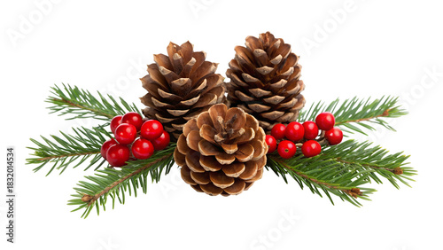 Pinecones and holly berries isolated on transparent background