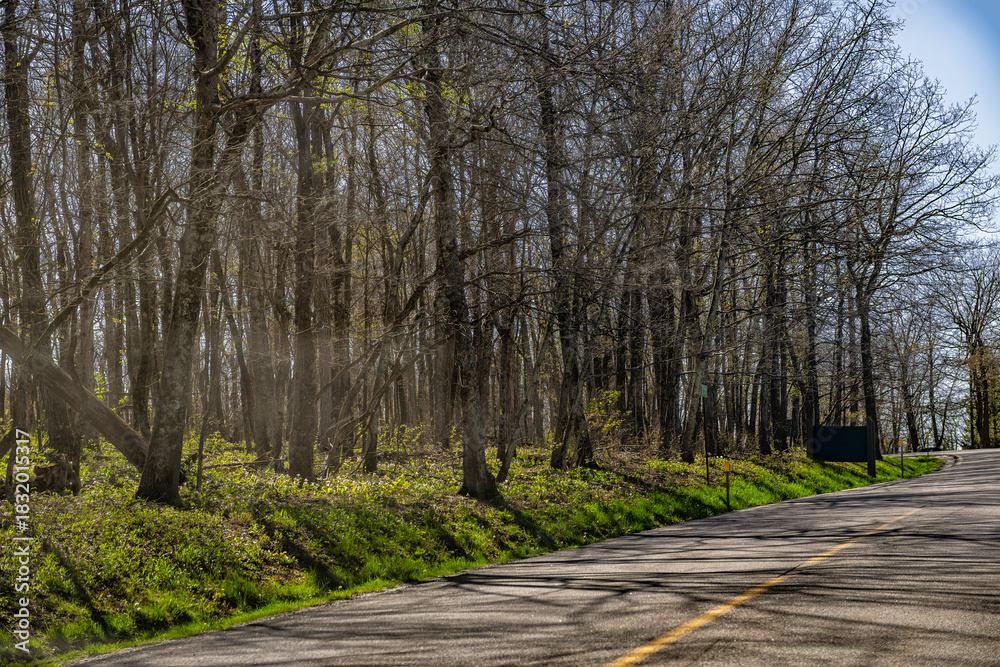 Naklejka premium Wintergreen Resort, Virginia rural ski town village with houses by highway mountain drive road in Blue ridge mountains in spring