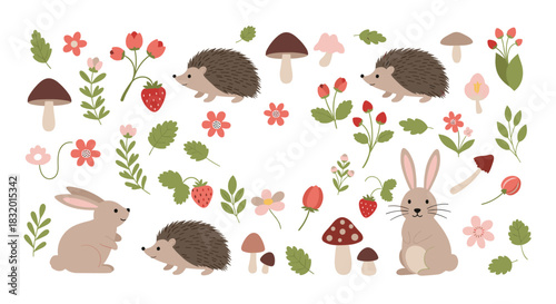 Big set of cute woodland and forest elements including hedgehogs rabbits mushrooms flowers and berries for design projects.