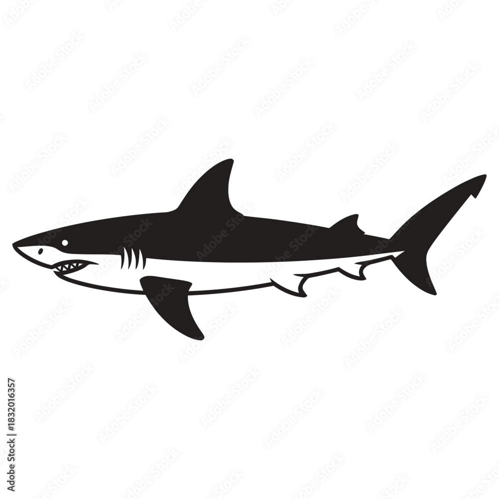 Obraz premium shark vector illustration