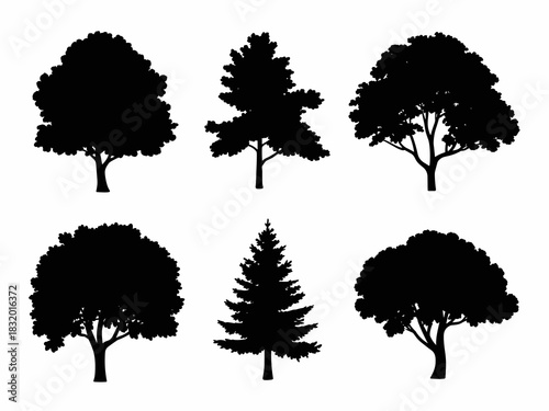 Silhouetted Trees A Diverse Forest Display of Arboreal Majesty in Black and White, A Stark Contrast in Botanical Beauty