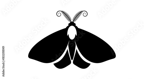 Elegant moth silhouette with stylized wings and feathery antennae on a white background