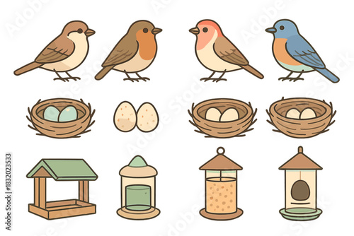 Colorful birds and nests with eggs in a nature-themed illustration depicting avian life stages