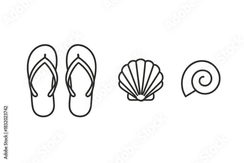 Summer beach items including flip flops, a shell, and a spiral shell for fun ocean activities