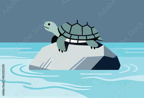 A stylized illustration depicts a turtle atop a rock in water. Background gradients suggest sky and ripples