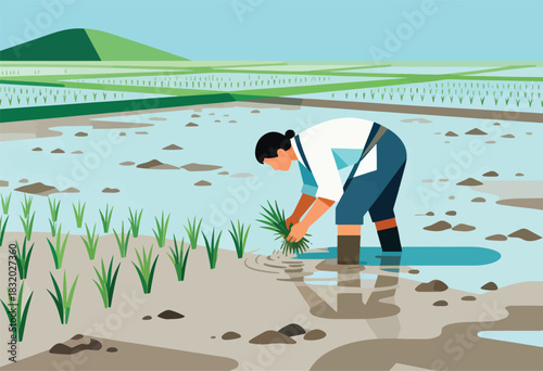Illustration of a person planting rice seedlings in a flooded field. Green fields & hills in background