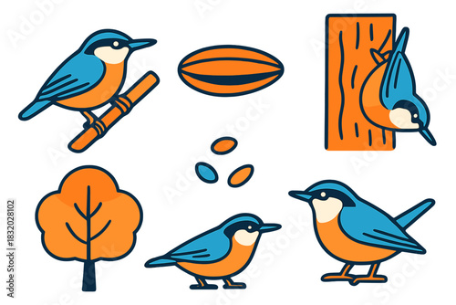 Colorful birds and nature elements displayed in a playful illustration featuring perched and foraging scenes