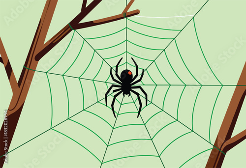 A black spider with a red eye sits in the center of a green web, attached to branches on a light green background