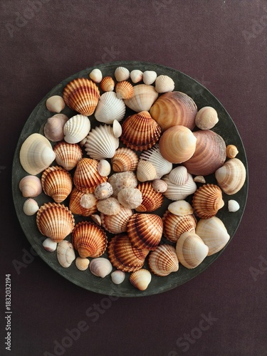 Seashells on a copper plate, decoration idea