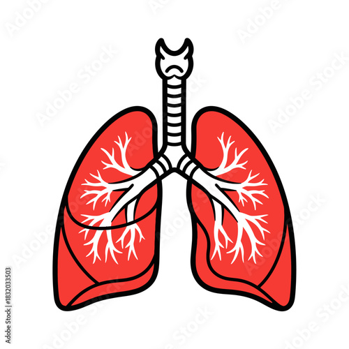 Stylized anatomical illustration of human lungs and respiratory system with vibrant red coloration