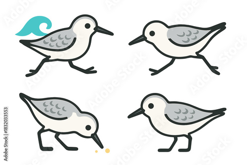 Different poses of sandpiper birds by the shore during a sunny day