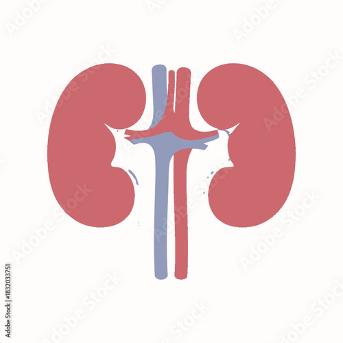Stylized renal system illustration showcasing kidney structure and vascular connections for