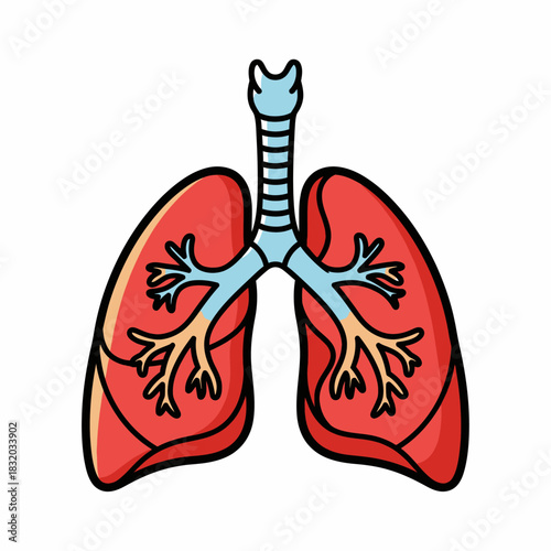 Anatomical illustration showcasing human lungs with trachea for health awareness