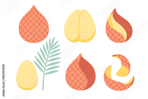 Unique tropical fruit shapes and textures displayed with a palm leaf in a bright, colorful style