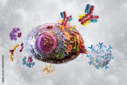 Bilde på lerret Therapies targeting senescent cells