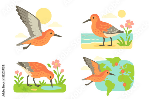 Colorful birds in various settings showcasing their beauty and natural behaviors throughout different landscapes and times of day