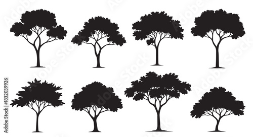Broad spreading tree silhouette set. African acacia, oak, and park nature vector collection. Architecture and landscape design symbols.