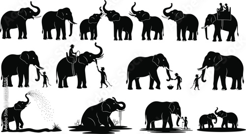 Collection of black elephant silhouettes interacting with people and water black and white