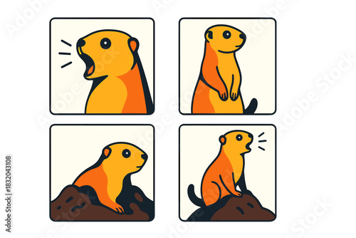 Fun moments of a meerkat in different poses expressing excitement and curiosity in its natural habitat