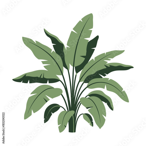 Illustration of a lush banana plant with broad leaves offering a tropical aesthetic appeal