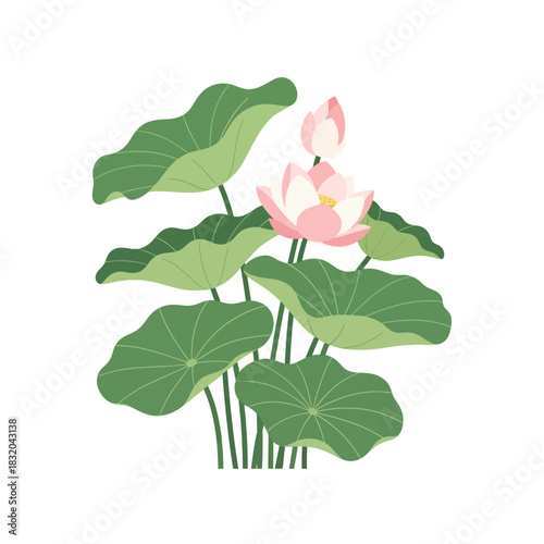 Serene floral elegance depiction of aquatic blossom delicate petals amid lush verdant leaves