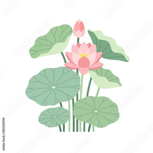 Elegant lotus flower illustration with serene leaves and soft pink petals on white background