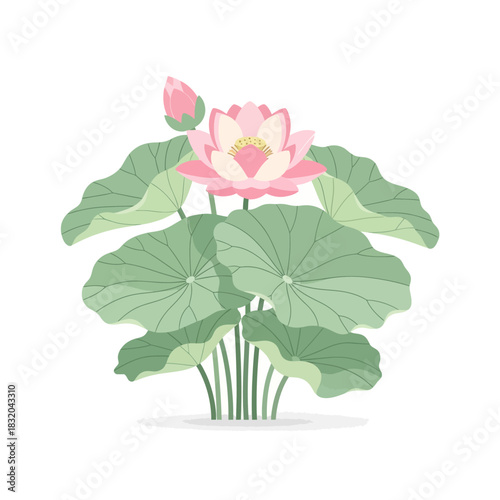Elegant lotus bloom illustration with fresh petals and verdant leaves on a pristine background