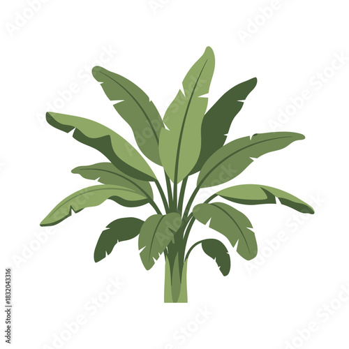 Stylized tropical plant illustration showcasing verdant foliage in minimalist art form