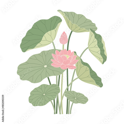 Elegant depiction of a pink lotus bloom surrounded by verdant water lily pads floral illustration