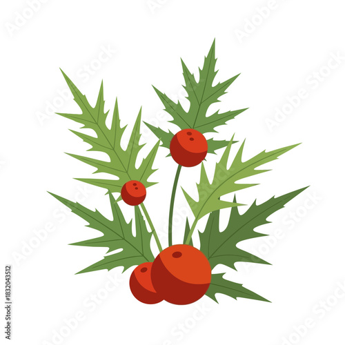 Festive botanical illustration of holly berries and leaves for seasonal designs and celebrations