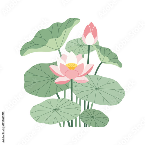 Elegant lotus blossom illustration with detailed foliage creates a serene composition