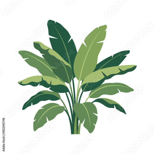 Lush tropical foliage illustration radiating vibrant green hues against a pristine background